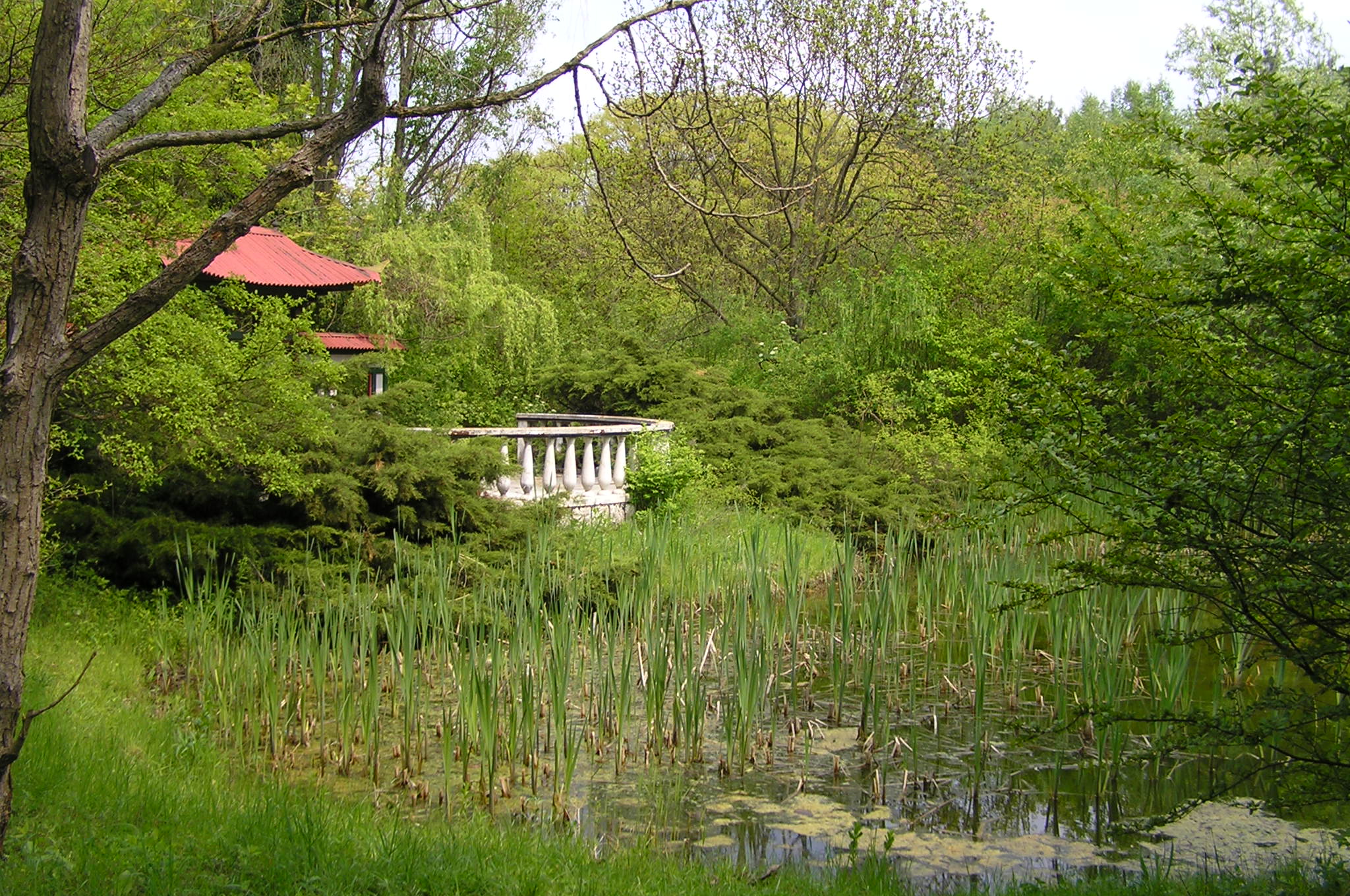 Arborétum_Mlyňany_02